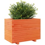 vidaXL Jardinieră grădină, maro ceruit, 70x40x49,5 cm, lemn masiv pin vidaXL Jardinieră grădină, maro ceruit, 70x40x49,5 cm, lemn masiv pin