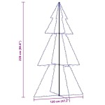 vidaXL Brad Crăciun conic, 300 LED-uri, 120x220 cm, interior&exterior vidaXL Brad Crăciun conic, 300 LED-uri, 120x220 cm, interior&exterior