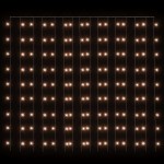 vidaXL Instalație lumini tip perdea 300 LED alb cald 3x3 m 8 funcții