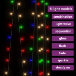 vidaXL Instalație lumini tip perdea 300 LED multicolor 3x3 m 8 funcții