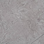 vidaXL Plăci pardoseală autoadezive, gri pământiu, 5,21 m², 2 mm, PVC vidaXL Plăci pardoseală autoadezive, gri pământiu, 5,21 m², 2 mm, PVC