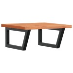 vidaXL Raft pentru lavoar montat pe perete, oțel și lemn masiv fag