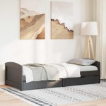 vidaXL Pat de zi cu 2 sertare fără saltea „IRUN” Negru 90x200 cm vidaXL Pat de zi cu 2 sertare fără saltea „IRUN” Negru 90x200 cm