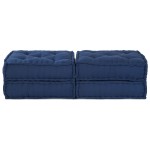 vidaXL Pernă 2 pcs albastru 70 x 70 x 36 cm Poliester vidaXL Pernă 2 pcs albastru 70 x 70 x 36 cm Poliester