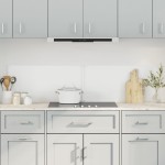 vidaXL Panou antistropi bucătărie 2 buc. transparent 80x40 cm sticlă vidaXL Panou antistropi bucătărie 2 buc. transparent 80x40 cm sticlă