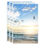 vidaXL Rame foto colaj pentru masă, 3 buc., alb, 10x15 cm, MDF vidaXL Rame foto colaj pentru masă, 3 buc., alb, 10x15 cm, MDF