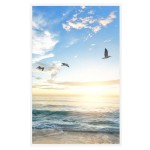 vidaXL Rame foto colaj pentru masă, 3 buc., alb, 10x15 cm, MDF vidaXL Rame foto colaj pentru masă, 3 buc., alb, 10x15 cm, MDF