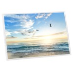 vidaXL Rame foto colaj pentru masă, 5 buc., alb, 21x29,7 cm, MDF vidaXL Rame foto colaj pentru masă, 5 buc., alb, 21x29,7 cm, MDF