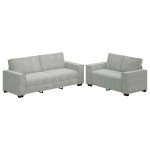 vidaXL Set de canapele cu perne, 2 piese, gri deschis, catifea vidaXL Set de canapele cu perne, 2 piese, gri deschis, catifea