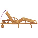 vidaXL Șezlonguri de soare 2 piese cu perne și roți din lemn solid de Acacia nuanță taupe vidaXL Șezlonguri de soare 2 piese cu perne și roți din lemn solid de Acacia nuanță taupe