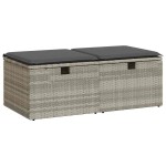 vidaXL Set canapea de grădină cu perne, 2 piese, gri deschis poliratan