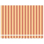 vidaXL Cortina Retractabilă Manual Multicolour 350 x 250 cm