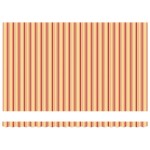 vidaXL Cortina Retractabilă Multicolour 500 × 300 cm