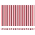 vidaXL Acoperiș retractabil automat dungi roșii și albe, 500 x 300 cm vidaXL Acoperiș retractabil automat dungi roșii și albe, 500 x 300 cm