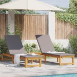 vidaXL Șezlong 2 pcs Maro 53 x 202 x 89cm Lemn masiv de acacia vidaXL Șezlong 2 pcs Maro 53 x 202 x 89cm Lemn masiv de acacia
