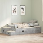 vidaXL Cadru de pat cu depozitare Gri din beton 234 x 103 x 53.5 cm