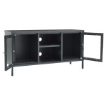 vidaXL Dulap TV, antracit, 105x35x52 cm, oțel și sticlă