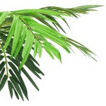 vidaXL Plantă artificială palmier phoenix cu ghiveci, verde, 190 cm vidaXL Plantă artificială palmier phoenix cu ghiveci, verde, 190 cm