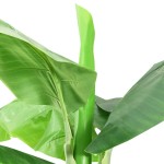 vidaXL Bananier artificial cu ghiveci, verde, 300 cm vidaXL Bananier artificial cu ghiveci, verde, 300 cm