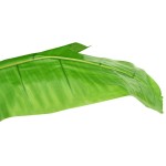 vidaXL Bananier artificial cu ghiveci, verde, 300 cm vidaXL Bananier artificial cu ghiveci, verde, 300 cm