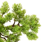 vidaXL Bonsai chiparos artificial cu ghiveci, verde, 60 cm vidaXL Bonsai chiparos artificial cu ghiveci, verde, 60 cm