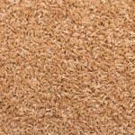 vidaXL Covorașe pentru scări, 30 buc., 65x21x4 cm, bej, cu margini dreptunghiulare vidaXL Covorașe pentru scări, 30 buc., 65x21x4 cm, bej, cu margini dreptunghiulare
