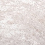 vidaXL Covor lavabil, bej deschis, 190x300 cm, antiderapant