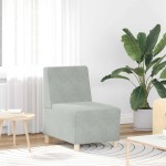 vidaXL Unitate Sofa Modulară Fără Brațe 2 pcs Gri deschis