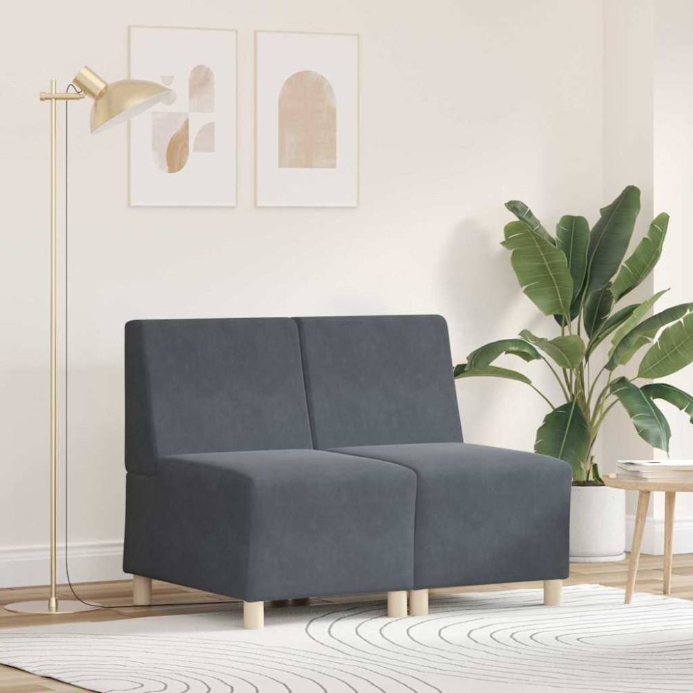 vidaXL Unitate Sofa Modulară Fără Brațe 2 pcs Gri închis