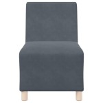 vidaXL Unitate Sofa Modulară Fără Brațe 2 pcs Gri închis