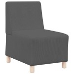 vidaXL Unitate Sofa Modulară Fără Brațe 2 pcs Gri închis