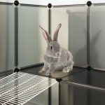 vidaXL Cușcă pentru animale mici, negru, 143x107x93 cm, PP și oțel