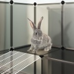 vidaXL Cușcă pentru animale mici, negru, 142x74x93 cm, PP și oțel vidaXL Cușcă pentru animale mici, negru, 142x74x93 cm, PP și oțel