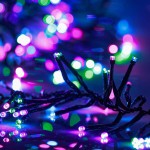 vidaXL Instalație cluster, 1000 LED-uri, multicolor pastel, 11 m, PVC