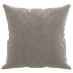 vidaXL Perne decorative, 2 buc., gri deschis, 40x40 cm, catifea vidaXL Perne decorative, 2 buc., gri deschis, 40x40 cm, catifea
