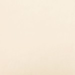 vidaXL Perne decorative, 2 buc., crem, 40x40 cm, catifea vidaXL Perne decorative, 2 buc., crem, 40x40 cm, catifea