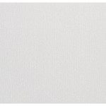 vidaXL Tapet 3D, culoare uni alb, 10x0,53 m, nețesut vidaXL Tapet 3D, culoare uni alb, 10x0,53 m, nețesut