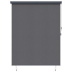 vidaXL Jaluzea Rulou de Exterior Manual Antracit 200 x 250 cm țesătură vidaXL Jaluzea Rulou de Exterior Manual Antracit 200 x 250 cm țesătură