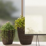 vidaXL Jaluzea Rulou de Exterior Striped Crem 200 x 250 cm țesătură vidaXL Jaluzea Rulou de Exterior Striped Crem 200 x 250 cm țesătură