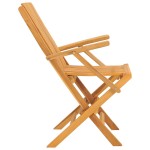 vidaXL Scaune de grădină pliante, 2 buc., 61x67x90 cm, lemn masiv tec vidaXL Scaune de grădină pliante, 2 buc., 61x67x90 cm, lemn masiv tec