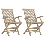 vidaXL Scaune de grădină pliante 2 buc. gri 56x61x89 cm lemn masiv tec vidaXL Scaune de grădină pliante 2 buc. gri 56x61x89 cm lemn masiv tec