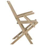 vidaXL Scaune de grădină pliante 2 buc. gri 56x61x89 cm lemn masiv tec vidaXL Scaune de grădină pliante 2 buc. gri 56x61x89 cm lemn masiv tec