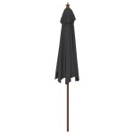 vidaXL Umbrelă de soare de grădină stâlp din lemn, negru, 299x240 cm vidaXL Umbrelă de soare de grădină stâlp din lemn, negru, 299x240 cm