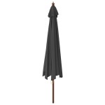 vidaXL Umbrelă de soare de grădină stâlp din lemn, antracit 400x273 cm