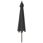 vidaXL Umbrelă de soare de grădină stâlp din lemn, negru, 400x273 cm vidaXL Umbrelă de soare de grădină stâlp din lemn, negru, 400x273 cm