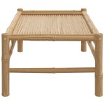 vidaXL Măsuță de cafea de grădină, 100x55x33 cm, bambus vidaXL Măsuță de cafea de grădină, 100x55x33 cm, bambus