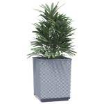 vidaXL Jardiniere, 2 buc., gri deschis, 30x30x37 cm, polipropilenă