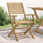 vidaXL Scaune grădină pliante 2 buc 54,5x61,5x86,5cm lemn masiv acacia vidaXL Scaune grădină pliante 2 buc 54,5x61,5x86,5cm lemn masiv acacia