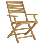 vidaXL Scaune grădină pliante 2 buc 54,5x61,5x86,5cm lemn masiv acacia vidaXL Scaune grădină pliante 2 buc 54,5x61,5x86,5cm lemn masiv acacia