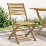 vidaXL Scaune grădină pliante 2 buc. 48,5x61,5x87 cm lemn masiv acacia vidaXL Scaune grădină pliante 2 buc. 48,5x61,5x87 cm lemn masiv acacia